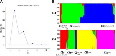 Population genetic analyses unveiled genetic stratification and differential natural selection signatures across the G-gene of viral hemorrhagic septicemia virus